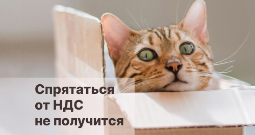 Что известно о налоговой реформе 2026 и поправках Минфина: как повышение НДС до 22% и отмена льгот по взносам скажется на бизнесе 