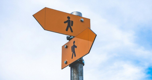 Выгодная АУСН без НДС: станет ли спецрежим спасением для малого бизнеса в условиях налоговой реформы 2026