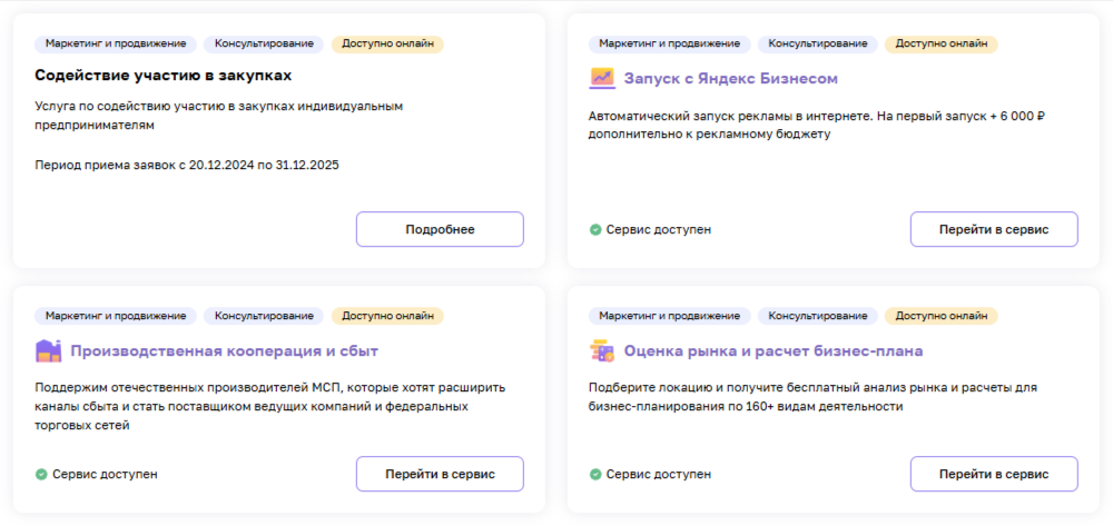 Фильтр на сайте МСП.РФ